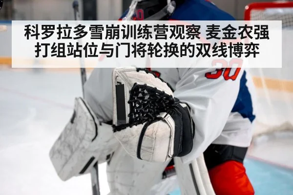 ice hockey goalie in net